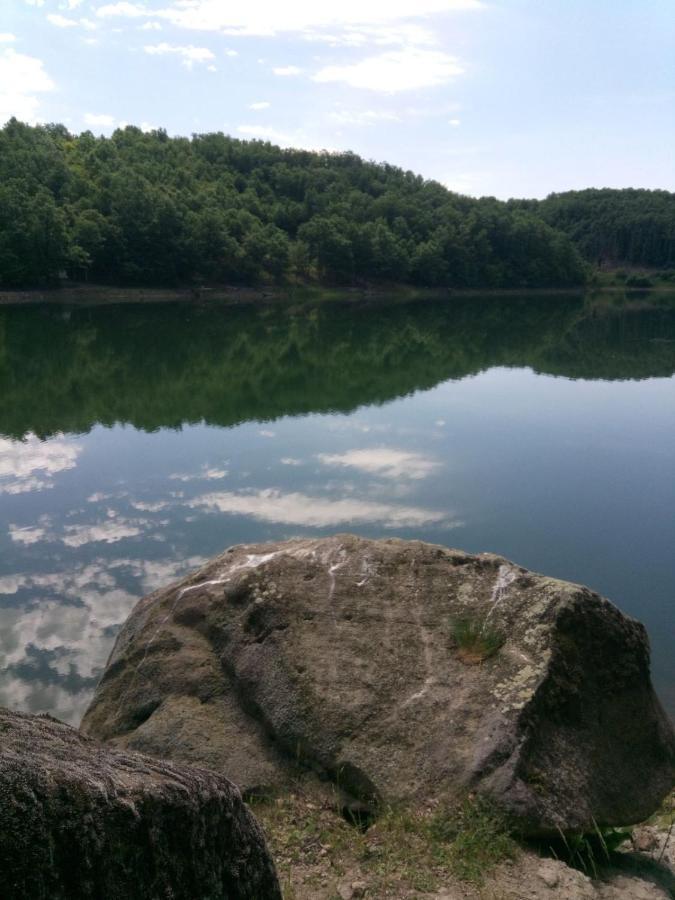 Kuca Saric, Gruzansko Jezero