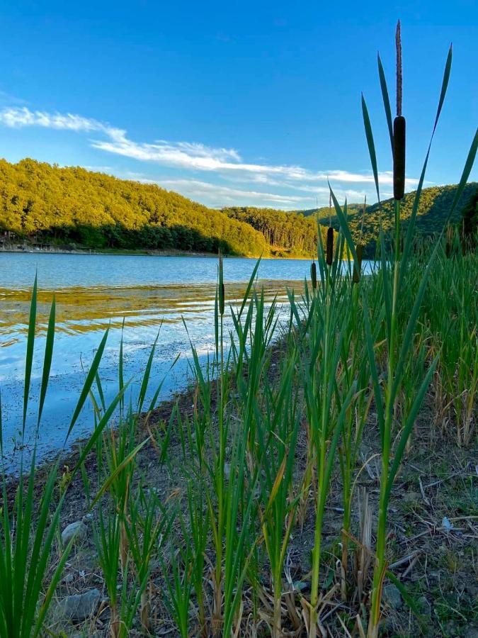 Kuca Saric, Gruzansko Jezero Semesterbostad *